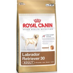 Royal Canin LABRADOR RETRIEVER