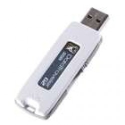 Flash disk USB 2.0 2GB Kingston DataTraveler