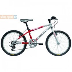 ACSTAR SPIDER 20"