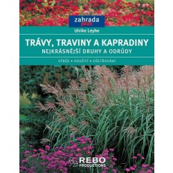 Trávy, traviny a kapradiny