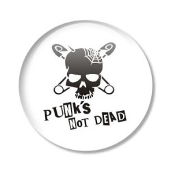 placka PUNK´S NOT DEAD