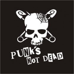 nášivka PUNK´S NOT DEAD