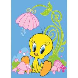 Dětský koberec Tweety Fantasy (Disney kusový koberec Tweety)