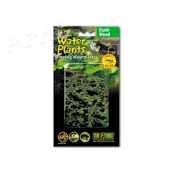 Rostlina plovoucí Duck Weed - 1ks