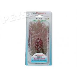 Rostlina Red Foxtail Plus 15 cm - 1ks