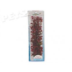 Rostlina Red Ludwigia Plus 38 cm - 1ks