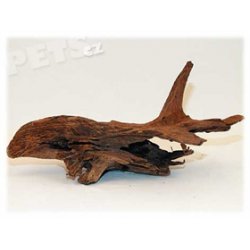 Kořen Driftwood 20 - 45 cm - 1ks