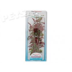 Rostlina Red Ludwigia 23 cm - 1ks