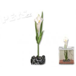 Dekorace Marina Betta Kit Callalily ornament - 1ks