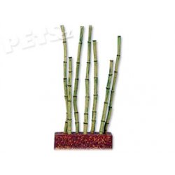 Dekorace Marina Betta Kit Bamboo Shots ornament - 1ks