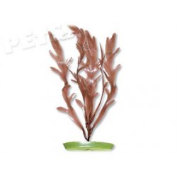 OUTLET - Rostlina Marinescaper Sea Sprite 30 cm - 1ks