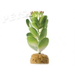 Rostlina ExoTerra Jade Cactus - 1ks