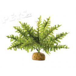 Rostlina ExoTerra Boston Fern malý - 1ks