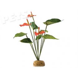 Rostlina ExoTerra Anthurium Bush - 1ks