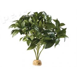 Rostlina ExoTerra Laurel Bush - 1ks