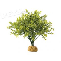 Rostlina ExoTerra Boxwood Bush - 1ks