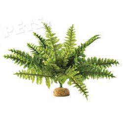 Rostlina ExoTerra Boston Fern střední - 1ks