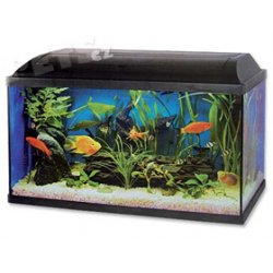 Akvarium set 100, 100*40*40cm -