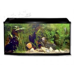 Akvarium set Atlantic Ov.80*35*35cm -