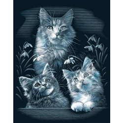 Vyškrabovací obrázek - Kočky tři