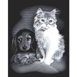 Vyškrabovací obrázek - Kočka a pes