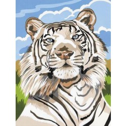 Malování podle čísel - bílý tygr