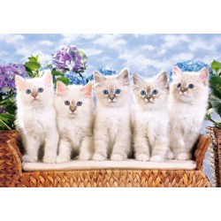 Puzzle 1500 dílků - Pět bílých koček
