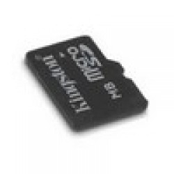 Kingston MicroSD 2GB