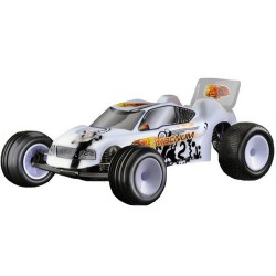 RC model ANSMANN  Magnum 1:10 2WD