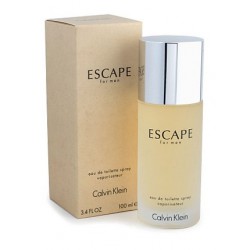 CALVIN KLEIN Escape for Men EDT 100 ml (pánská toaletní vod)