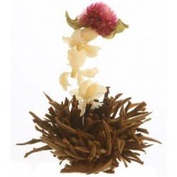 Kvetoucí čaj - Jasmínový polibek