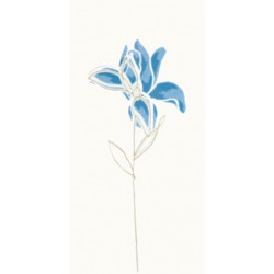 RAKO Inzerto Tulip, květ, modrá 19,8x39,8 cm -  WITMB010 (4ks/bal.)