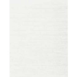 RAKO Obklad India, bílá - 25 x 33 cm -  WARKA266 (1,50m2/bal)