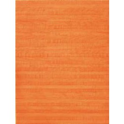 RAKO Obklad India, oranžová - 25 x 33 cm -  WARKA268 (1,50m2/bal)