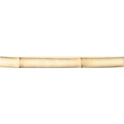 RAKO Listela relifní Asia, béžová 25x2,3 cm - WLRGA106 (14 kusů/bal)