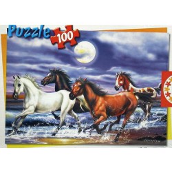 PUZZLE KONĚ 100 DÍLKŮ (EDUCA)