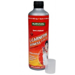 L-Carnitin Fitness 500 ml