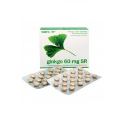 Ginkgo 60 mg SR 60 tbl.